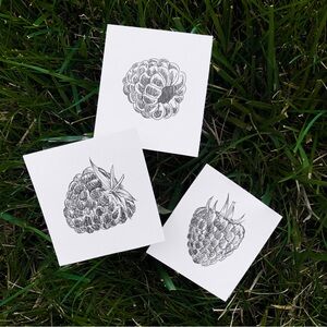 Mini raspberry sketch bundle